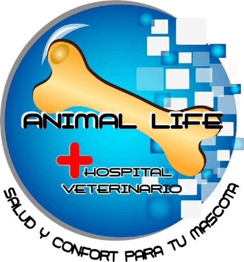 Animal Life